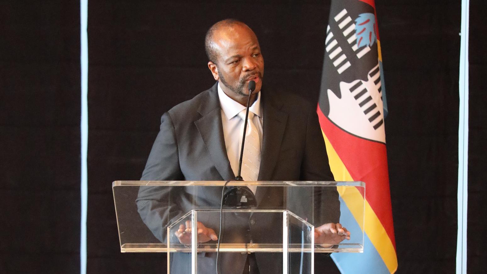 Eswatini needs diaspora skills – King